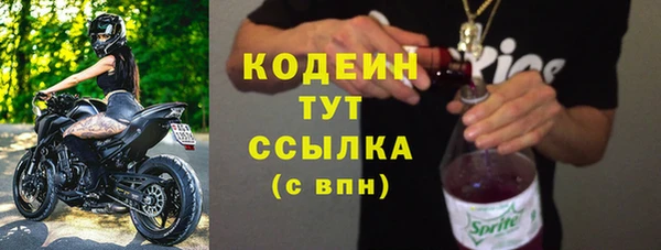 индика Новодвинск
