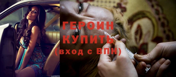 индика Новодвинск