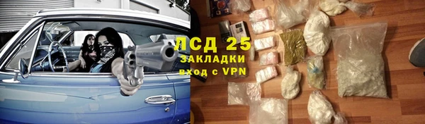 индика Новодвинск