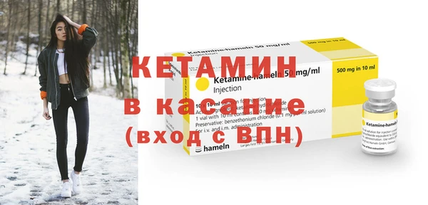 индика Новодвинск
