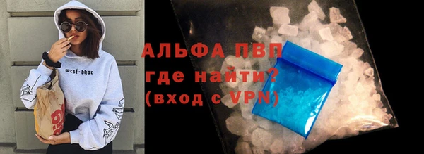 индика Новодвинск