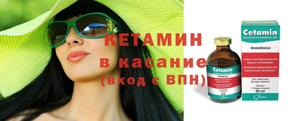 индика Новодвинск