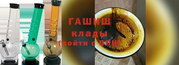 индика Новодвинск