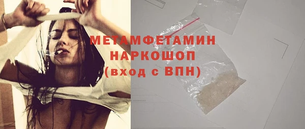 индика Новодвинск