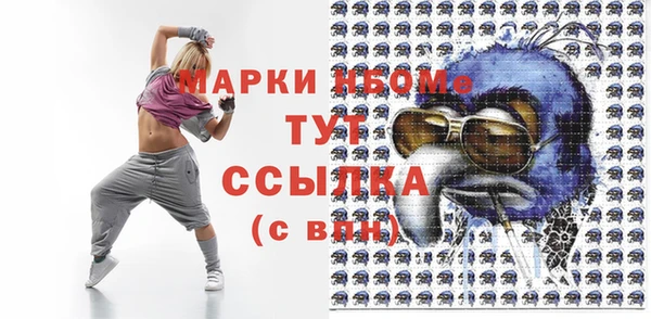 индика Новодвинск