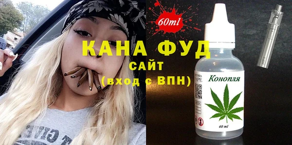 индика Новодвинск