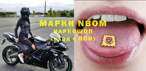 индика Новодвинск