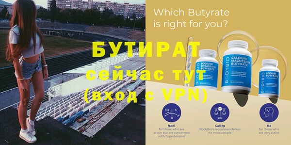 индика Новодвинск