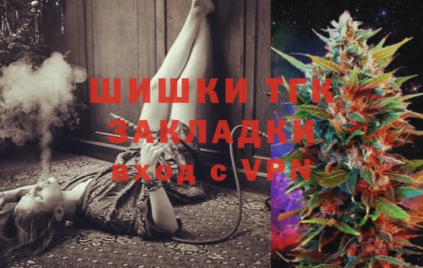 тгк Новокубанск