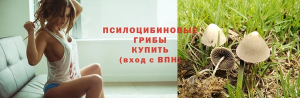прущая мука Новозыбков