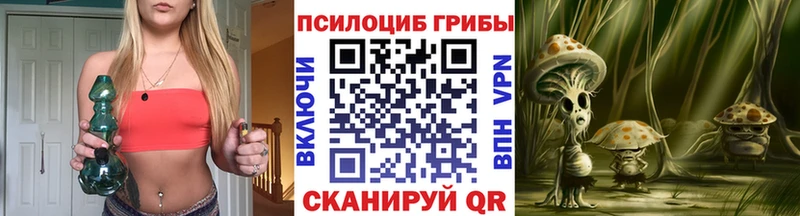 наркошоп Улан-Удэ Галлюциногенные грибы Psilocybe