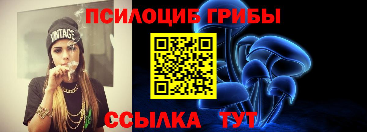 Псилоцибиновые грибы Psilocybine cubensis Улан-Удэ