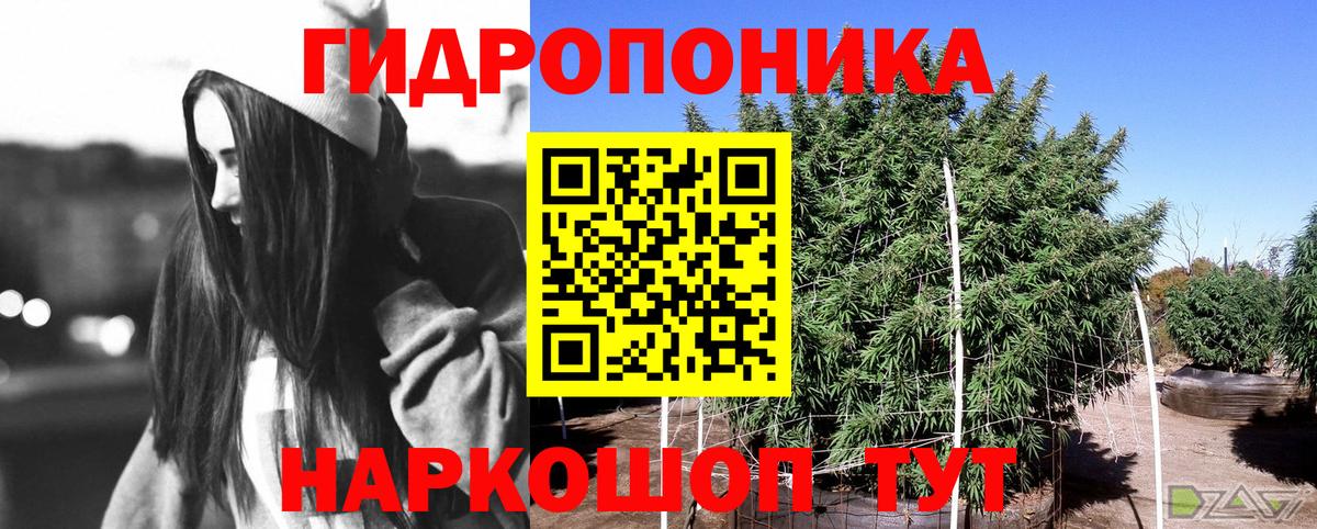 Конопля THC 21%  Шишки марихуана марихуана  Вход с VPN  Улан-Удэ  Каннабис семена  Шишки марихуана гибрид 